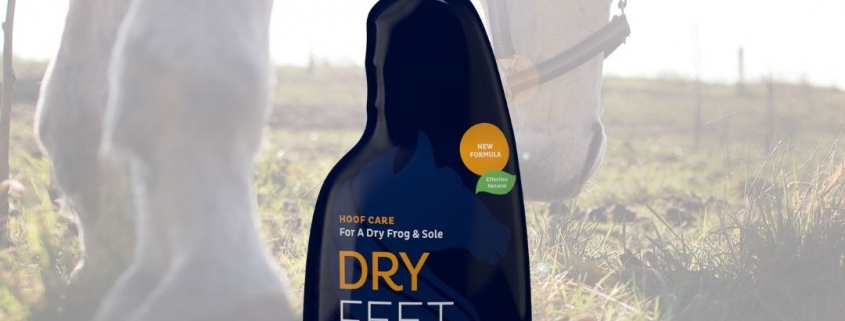 nieuw product: cavalor dry feet natural