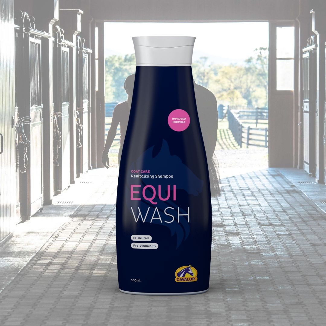 Wellness voor paard: wassen met paardenshampoo JRS