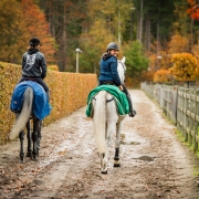 Cavalor seizoen detox