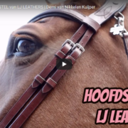Vlog Hoofdstel Legend LJ Leathers