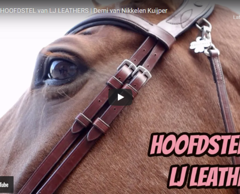Vlog Hoofdstel Legend LJ Leathers