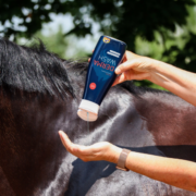 Schermafbeelding 2026-03-31 160225